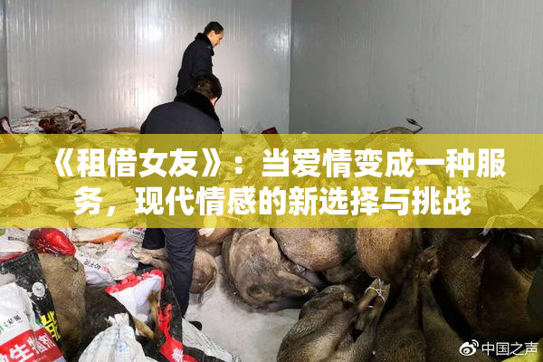 《租借女友》：当爱情变成一种服务，现代情感的新选择与挑战