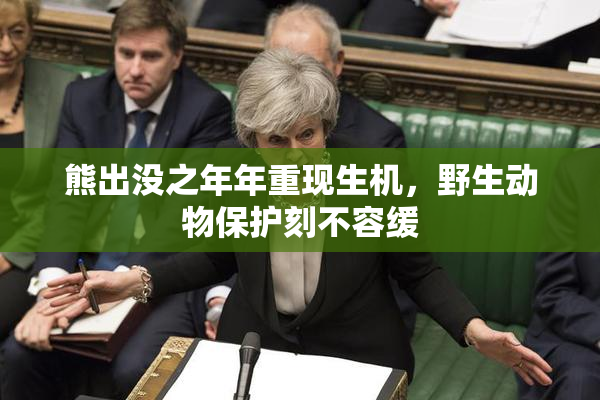 熊出没之年年重现生机，野生动物保护刻不容缓