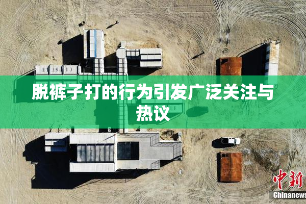 脱裤子打的行为引发广泛关注与热议
