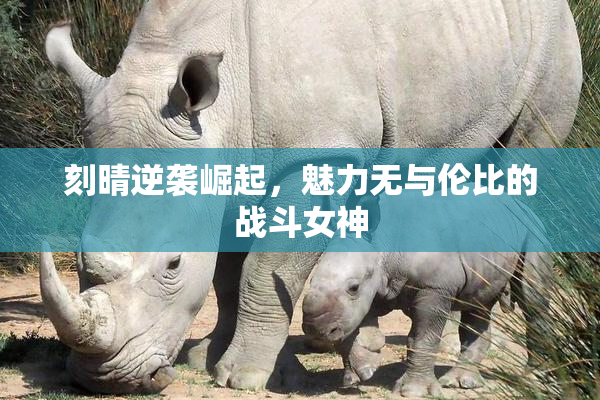 刻晴逆袭崛起，魅力无与伦比的战斗女神