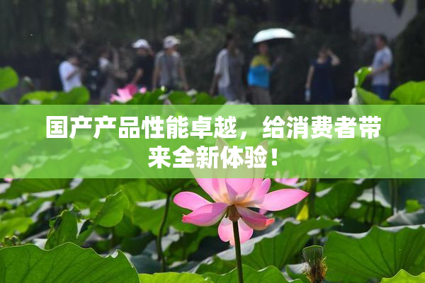 国产产品性能卓越，给消费者带来全新体验！