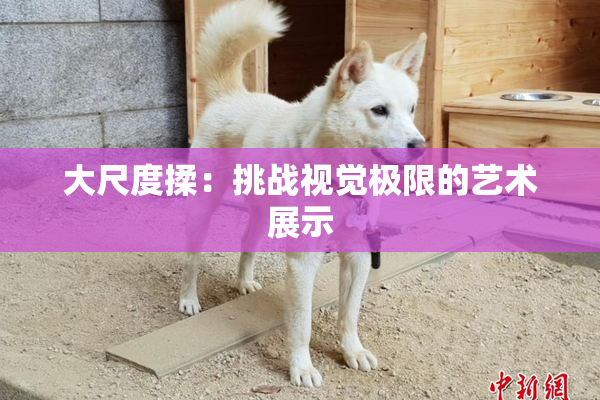 大尺度揉：挑战视觉极限的艺术展示