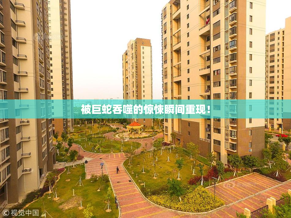 被巨蛇吞噬的惊悚瞬间重现！