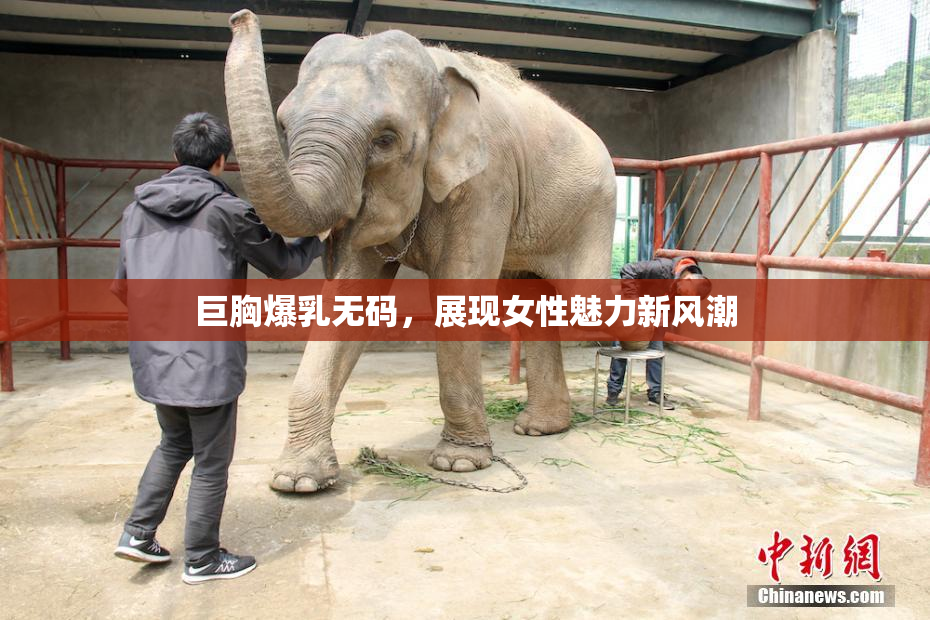 巨胸爆乳无码，展现女性魅力新风潮