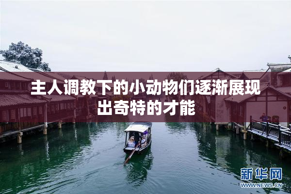 主人调教下的小动物们逐渐展现出奇特的才能