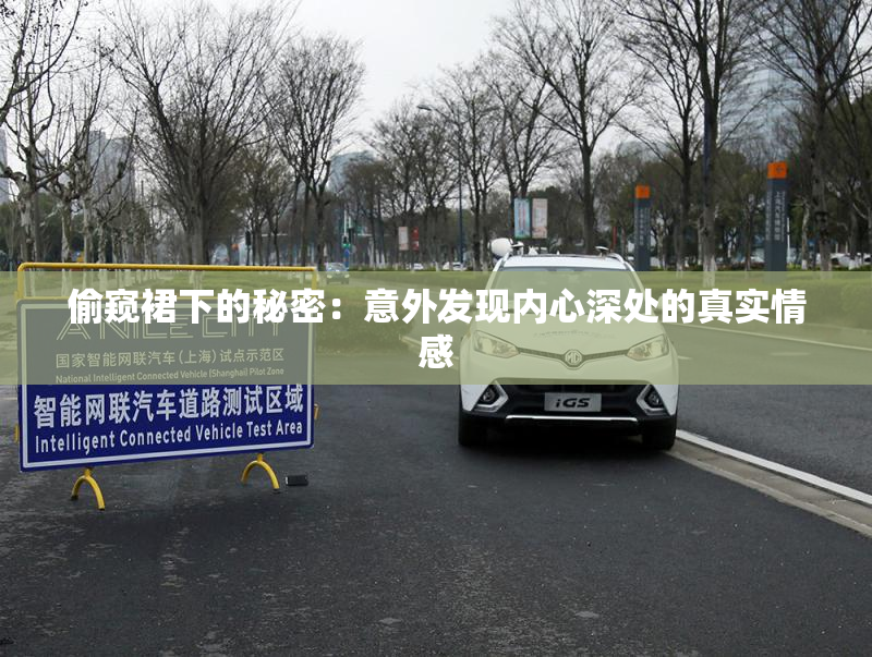 偷窥裙下的秘密：意外发现内心深处的真实情感