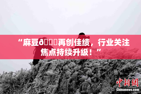 “麻豆🔞再创佳绩，行业关注焦点持续升级！”