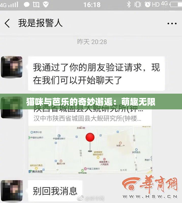 猫咪与芭乐的奇妙邂逅：萌趣无限
