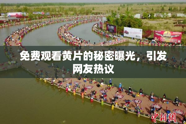免费观看黄片的秘密曝光，引发网友热议