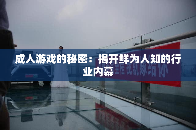 成人游戏的秘密：揭开鲜为人知的行业内幕