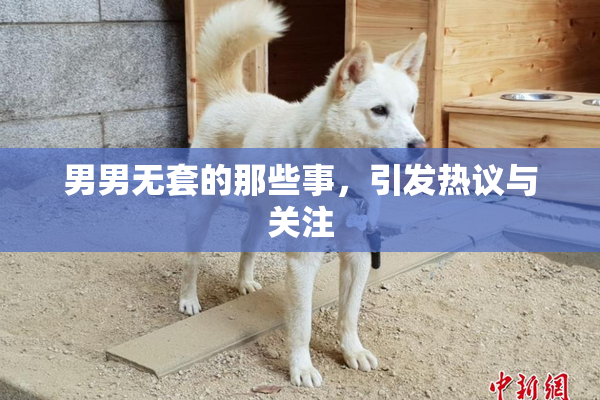 男男无套的那些事，引发热议与关注