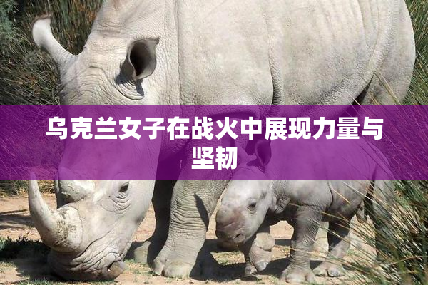 乌克兰女子在战火中展现力量与坚韧