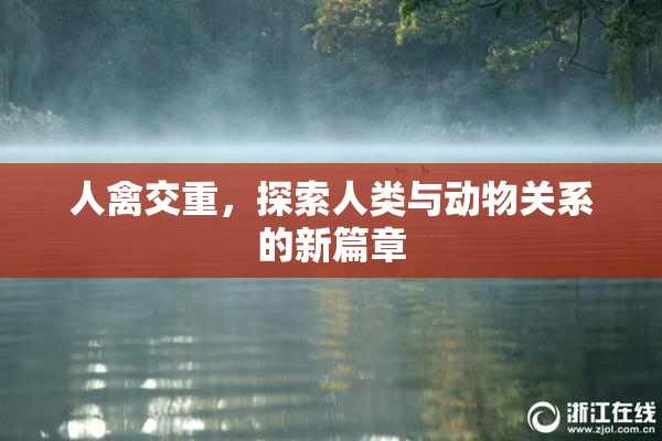 人禽交重，探索人类与动物关系的新篇章
