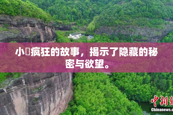 小泬疯狂的故事，揭示了隐藏的秘密与欲望。