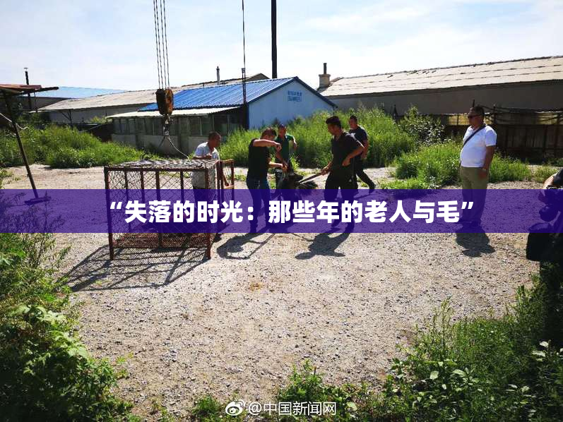 “失落的时光：那些年的老人与毛”