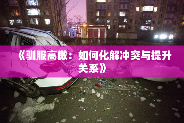 《驯服高傲：如何化解冲突与提升关系》