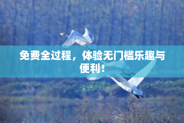 免费全过程，体验无门槛乐趣与便利！
