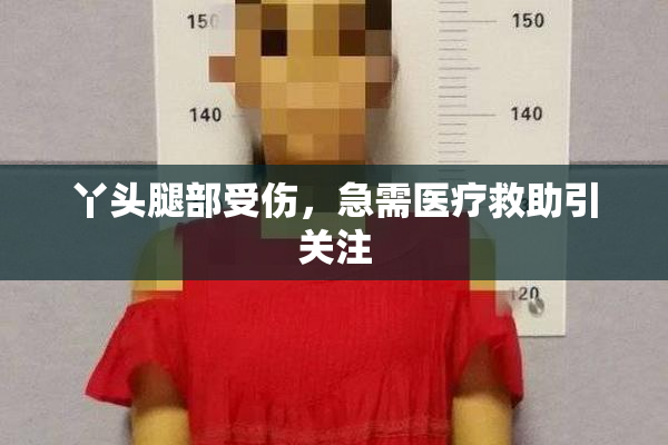 丫头腿部受伤，急需医疗救助引关注
