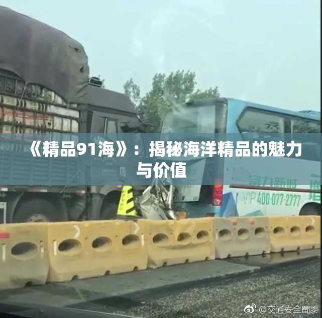 《精品91海》：揭秘海洋精品的魅力与价值
