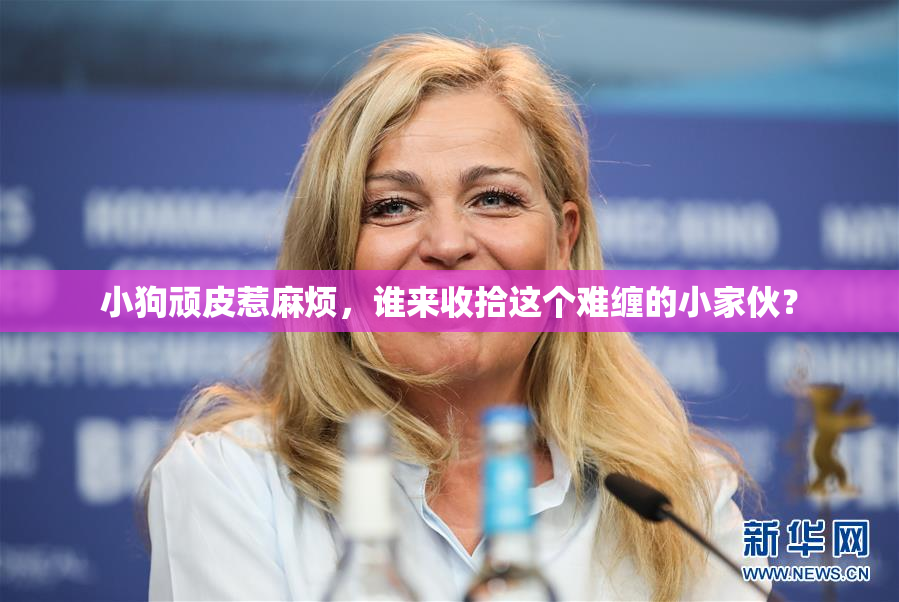 小狗顽皮惹麻烦，谁来收拾这个难缠的小家伙？