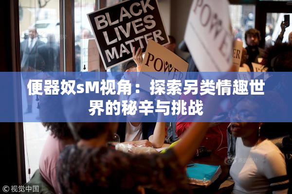 便器奴sM视角：探索另类情趣世界的秘辛与挑战