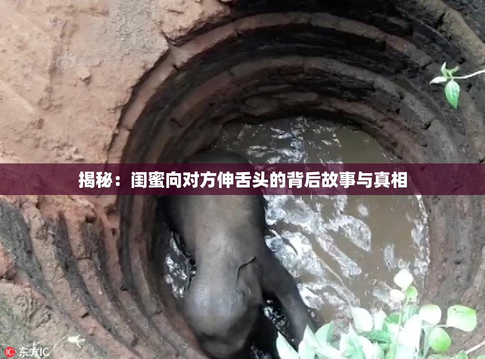 揭秘：闺蜜向对方伸舌头的背后故事与真相
