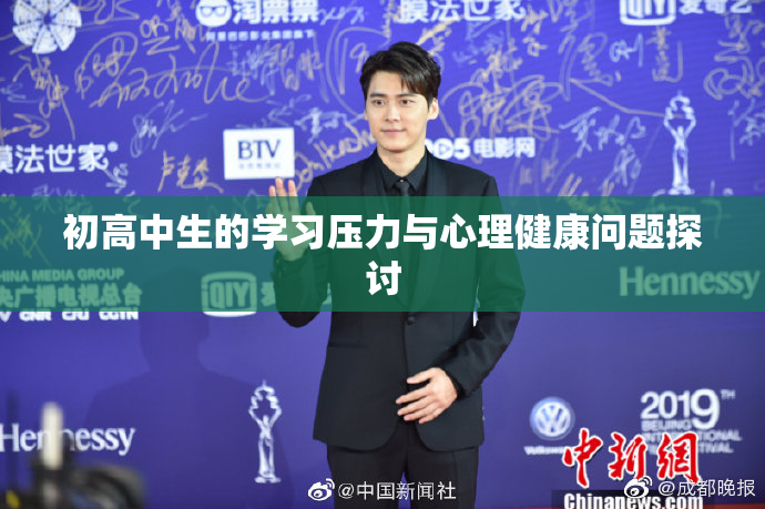 初高中生的学习压力与心理健康问题探讨