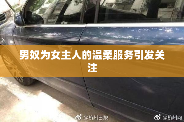 男奴为女主人的温柔服务引发关注