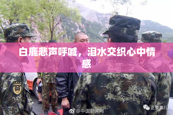 白鹿悲声呼喊，泪水交织心中情感