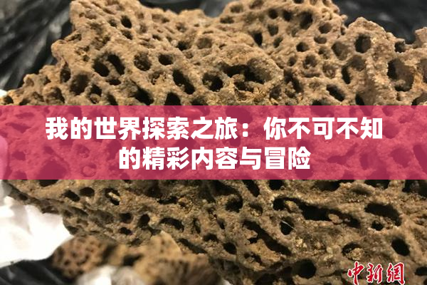 我的世界探索之旅：你不可不知的精彩内容与冒险