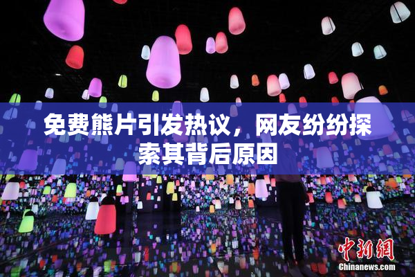 免费熊片引发热议，网友纷纷探索其背后原因