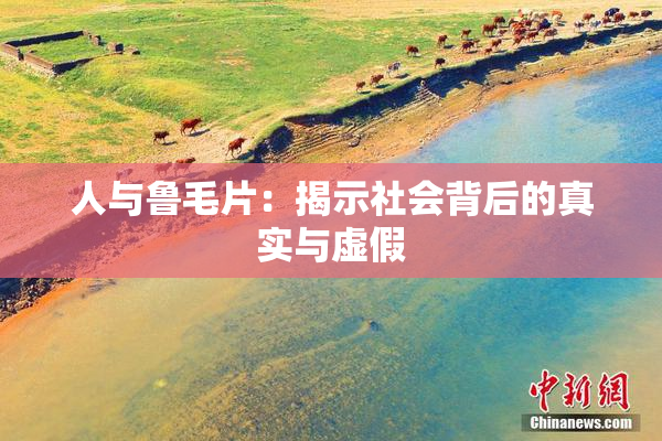 人与鲁毛片：揭示社会背后的真实与虚假