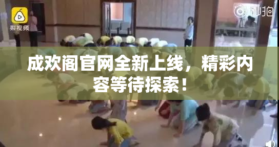 成欢阁官网全新上线，精彩内容等待探索！