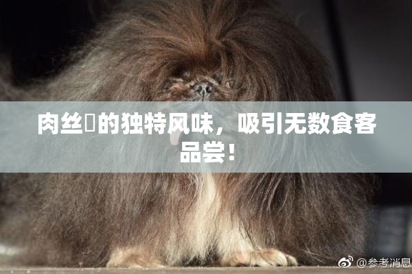 肉丝祙的独特风味，吸引无数食客品尝！