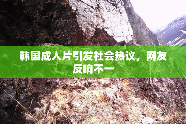 韩国成人片引发社会热议，网友反响不一