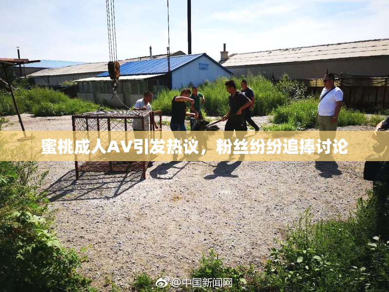 蜜桃成人AV引发热议，粉丝纷纷追捧讨论