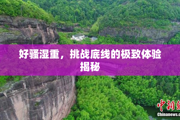 好骚湿重，挑战底线的极致体验揭秘