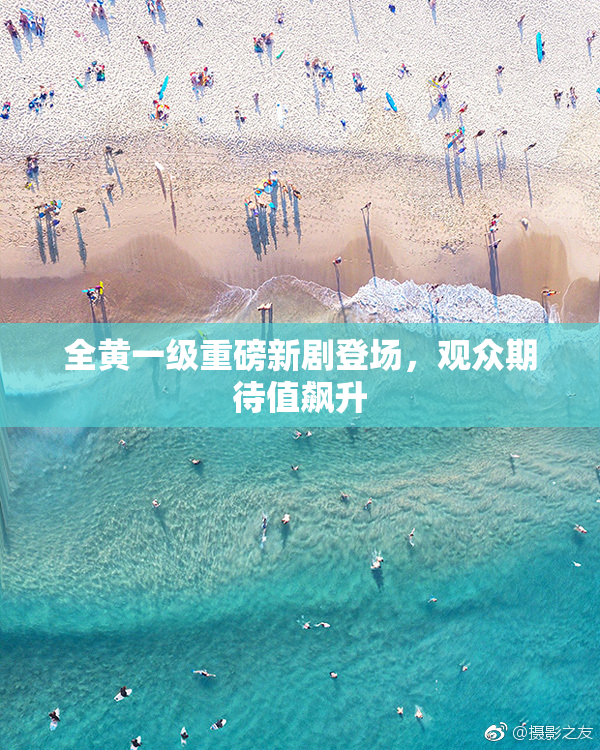 全黄一级重磅新剧登场，观众期待值飙升