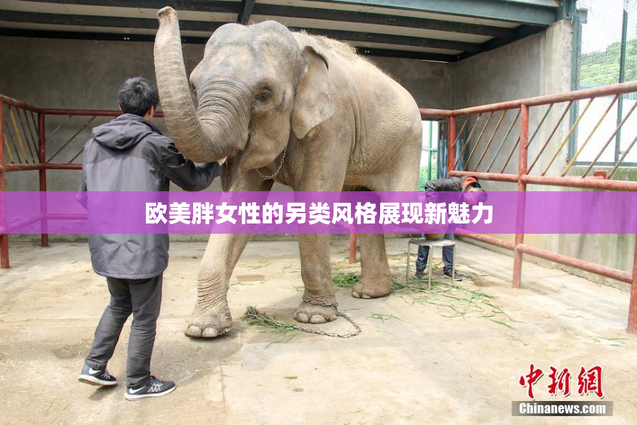 欧美胖女性的另类风格展现新魅力
