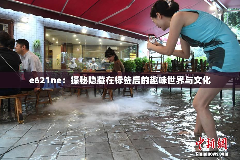 e621ne：探秘隐藏在标签后的趣味世界与文化