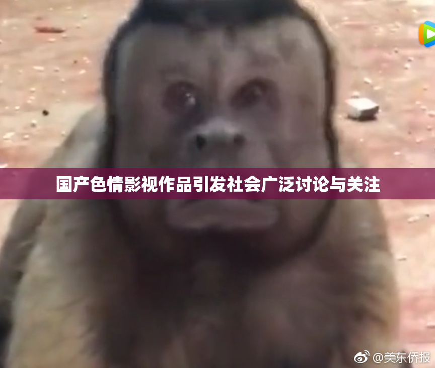 国产色情影视作品引发社会广泛讨论与关注