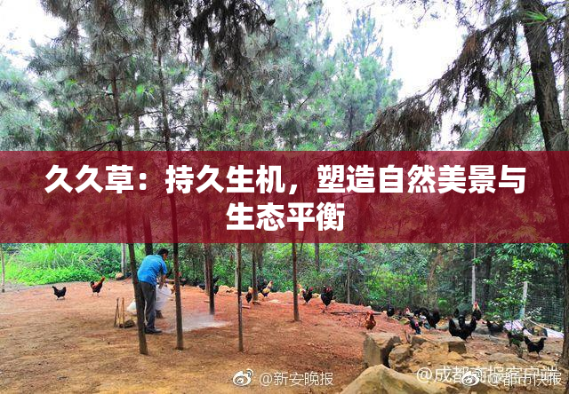 久久草：持久生机，塑造自然美景与生态平衡