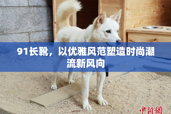 91长靴，以优雅风范塑造时尚潮流新风向
