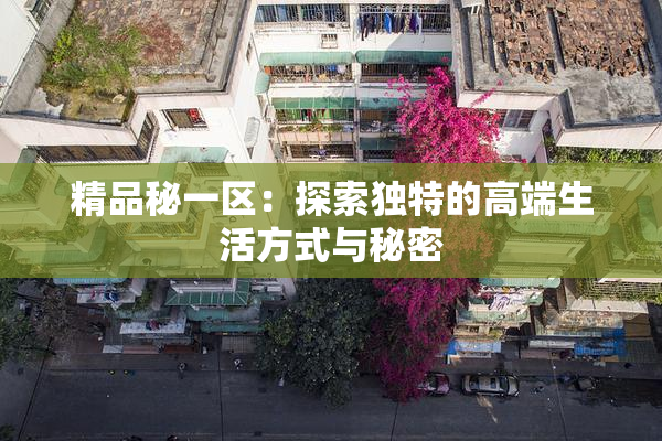 精品秘一区：探索独特的高端生活方式与秘密