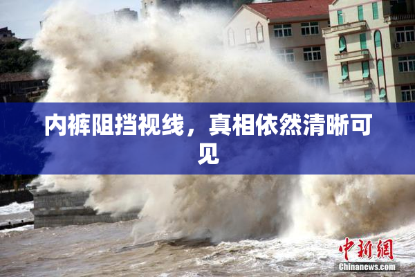 内裤阻挡视线，真相依然清晰可见