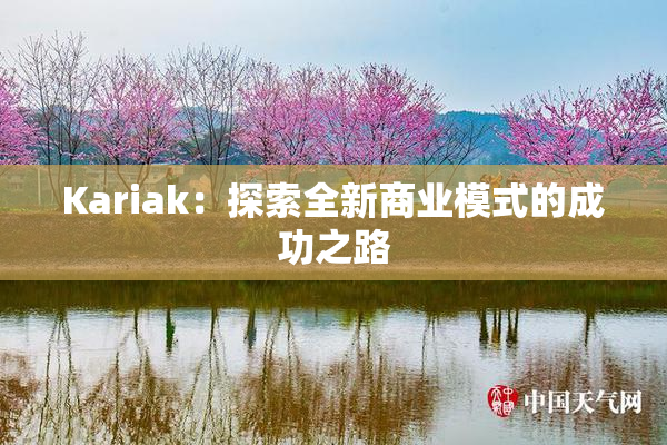 Kariak：探索全新商业模式的成功之路