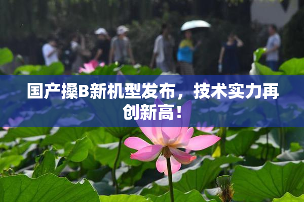 国产搡B新机型发布，技术实力再创新高！