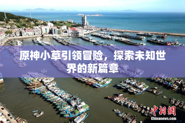 原神小草引领冒险，探索未知世界的新篇章
