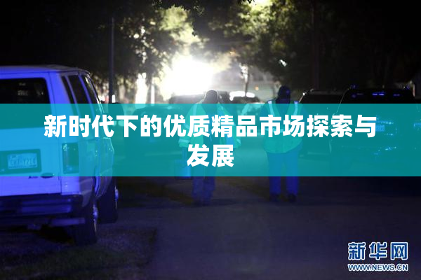 新时代下的优质精品市场探索与发展