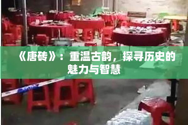 《唐砖》：重温古韵，探寻历史的魅力与智慧